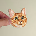 Orange Tabby Cat