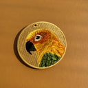 Sun Conure