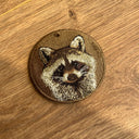Raccoon
