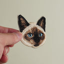 Siamese Cat