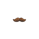 Twirled Mustache