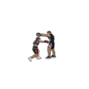 Boxers