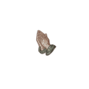Praying Hands