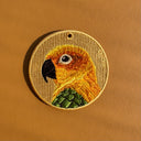 Sun Conure