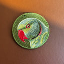 Ring-necked Parakeet