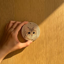 Blue&Gold Graded British Short-haired Cat