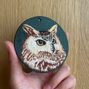 Owl