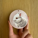 Netherland Dwarf Rabbit