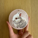 Netherland Dwarf Rabbit