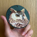 Owl