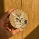 American Shorthair-Front & Back Design