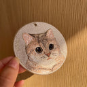 Blue&Gold Graded British Short-haired Cat