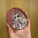Tawny Owl