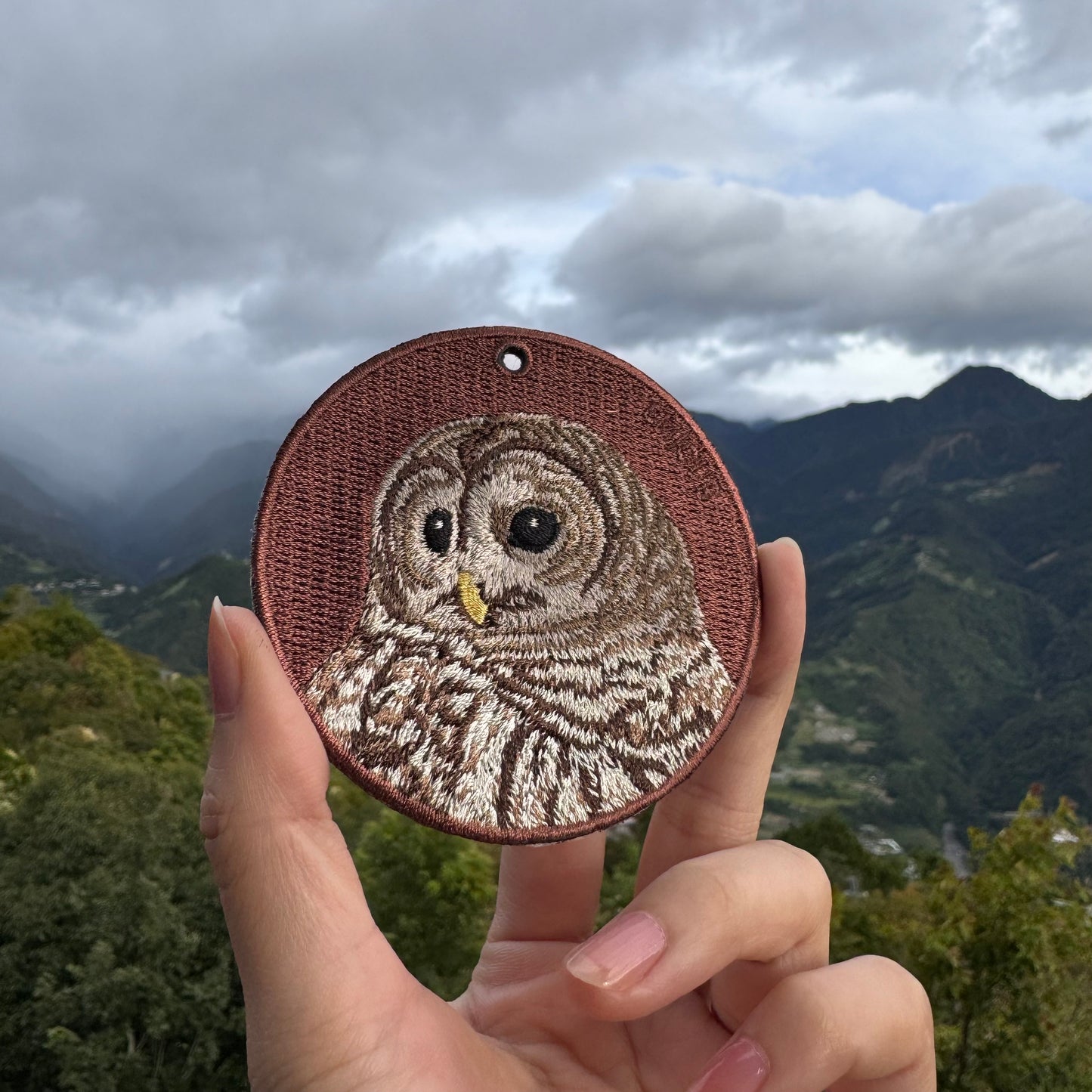 Double-sided embroidery pendant-Xuan Feng parrot