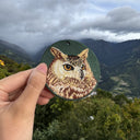 Owl