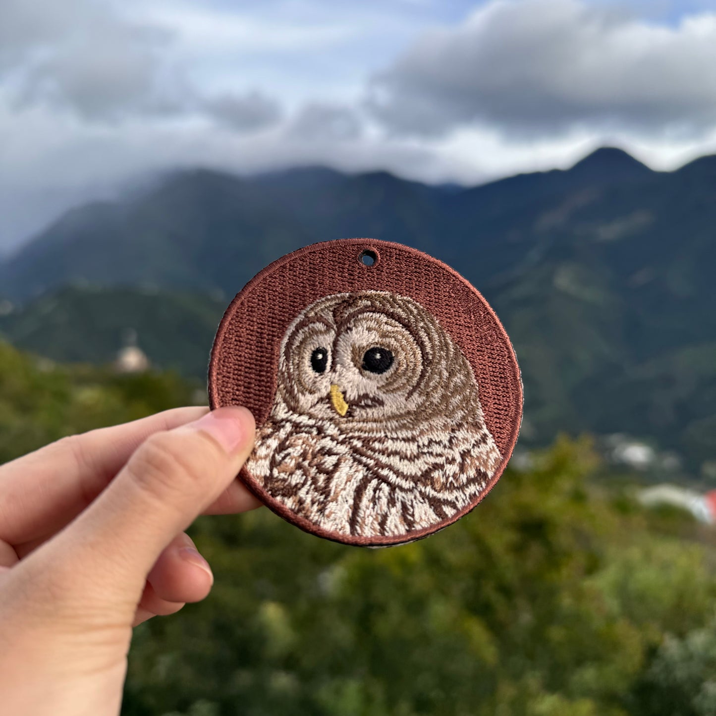 Double-sided embroidery pendant-Xuan Feng parrot