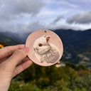 Netherland Dwarf Rabbit