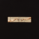 創造亞當 - 質感黑