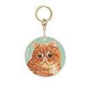 Exotic Shorthair Cat