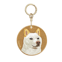 白柴犬