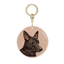 臺灣犬