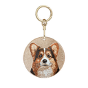 三色柯基犬