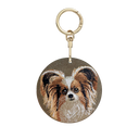 蝴蝶犬