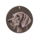 威瑪獵犬