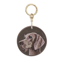 威瑪獵犬