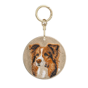 棕色邊境牧羊犬