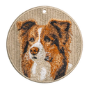 棕色邊境牧羊犬