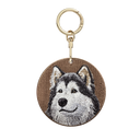 阿拉斯加雪橇犬