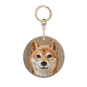 一臉正經柴犬