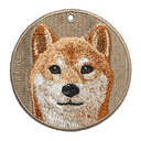 一臉正經柴犬