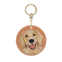 黃金獵犬｜橘