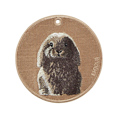 灰色垂耳兔的另一面｜雙面不同款