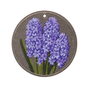 Hyacinth