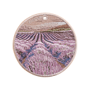 Lavender Field
