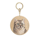 銀漸層英國短毛貓