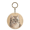 銀漸層英國短毛貓