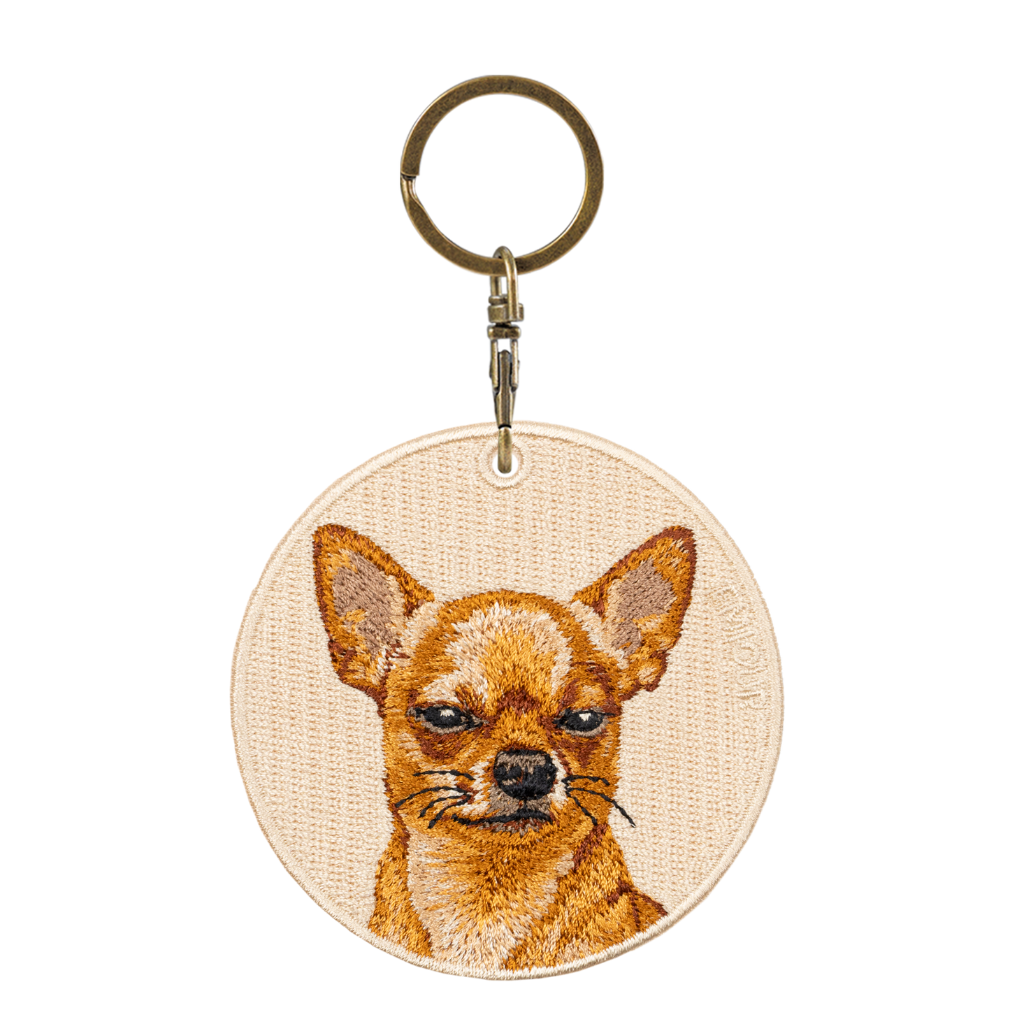 Chihuahua-Unimpressed Pose