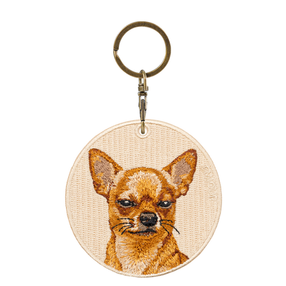 Chihuahua-Unimpressed Pose