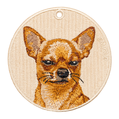 Chihuahua-Unimpressed Pose