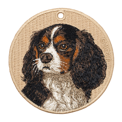 Cavalier King Charles Spaniel Tricolor