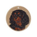 黑色查理士王小獵犬