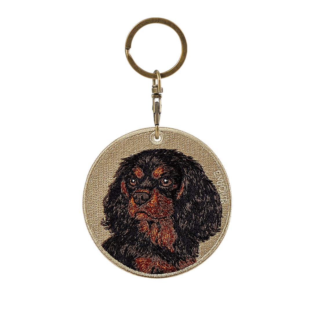 Black Cavalier King Charles Spaniel