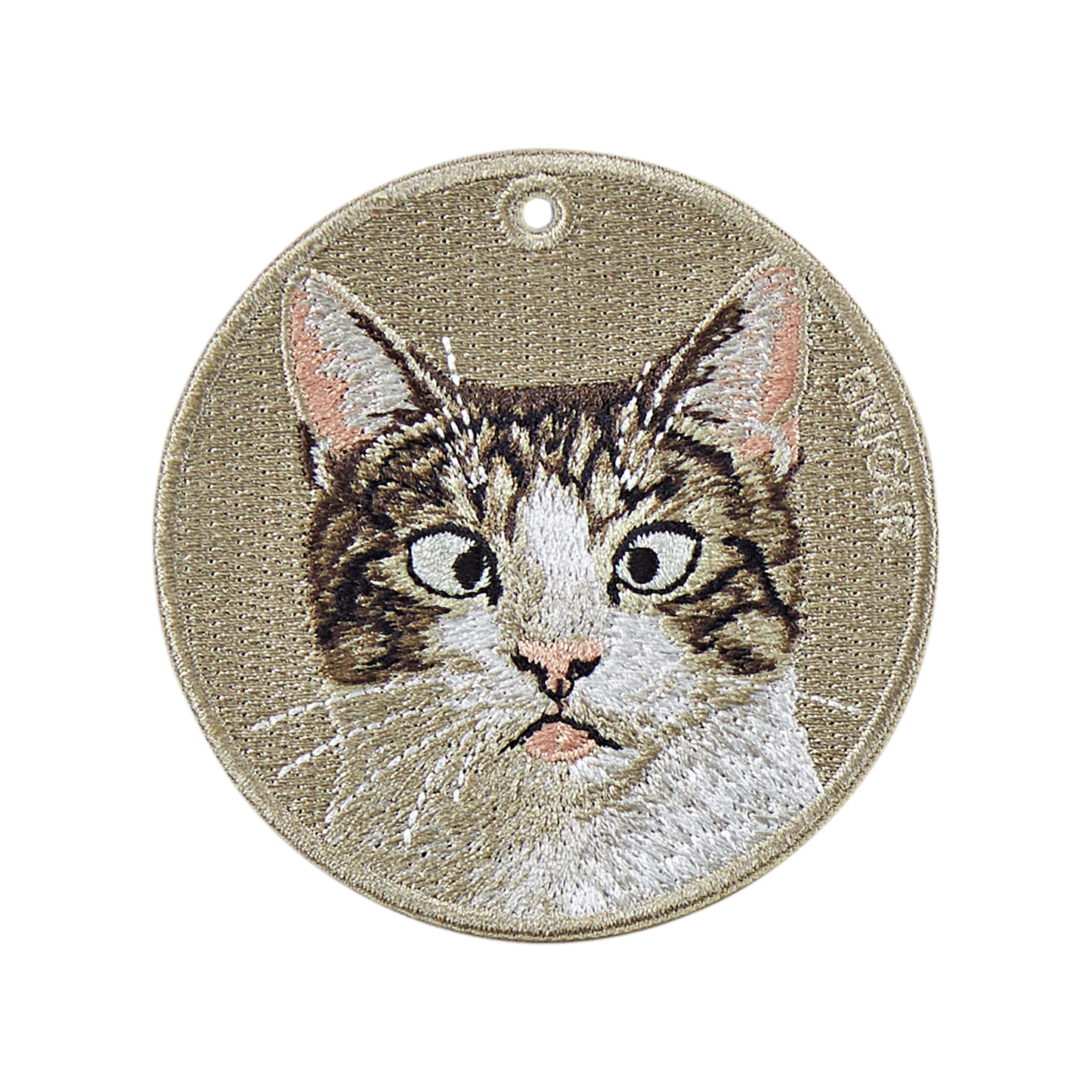 White Tabby Cat-Funny Face Pose