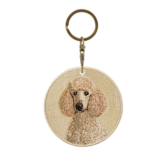 Standard Poodle