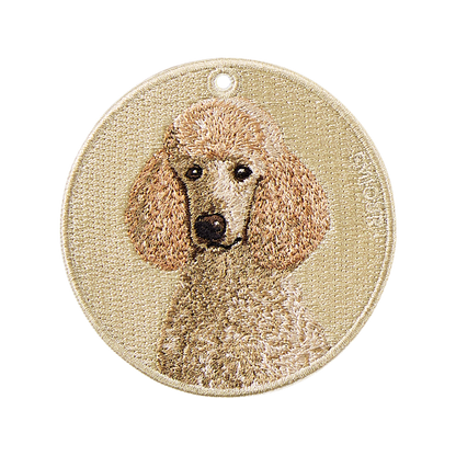 Standard Poodle