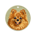 Long-Haired Brown Pomeranian